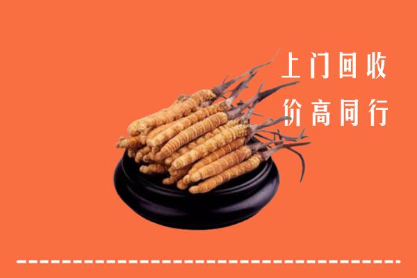高价求购：四平回收散虫草