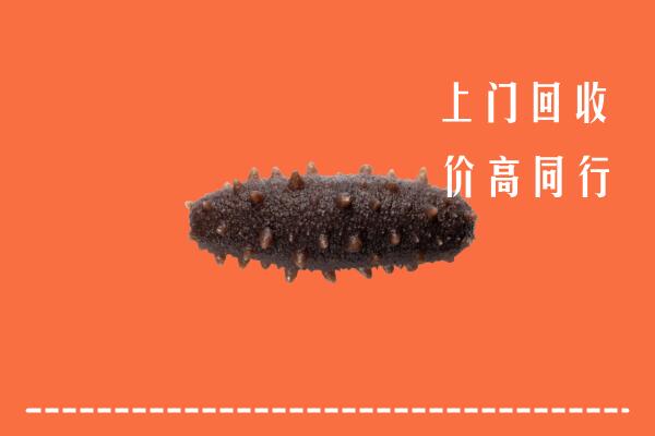 高价求购：四平回收海参