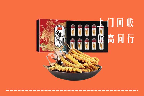 四平回收虫草